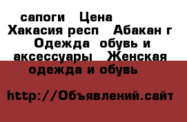 сапоги › Цена ­ 2 000 - Хакасия респ., Абакан г. Одежда, обувь и аксессуары » Женская одежда и обувь   